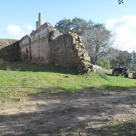 Monte Do Brejinho De Agua Villa Carvalhal  Exterior photo